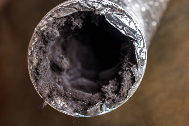 Best Commercial HVAC Duct Cleaning  in Lone Tree, IA